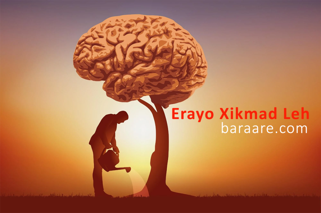 erayo xikmad leh